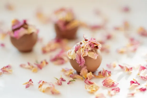 Casino Fantastic Spins App Android/iOS